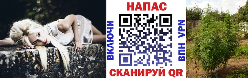 где можно купить наркотик  Малая Вишера  МЕГА ТОР  Бошки Шишки Bruce Banner 